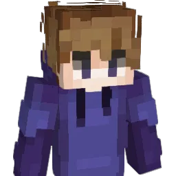 Codetronx Minecraft avatar bust