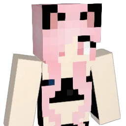 Codex0802's Minecraft skin