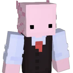 CoinDoge1 Minecraft avatar bust