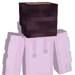 CoinPuncher