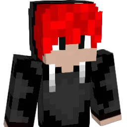 Colorado79 Minecraft avatar bust