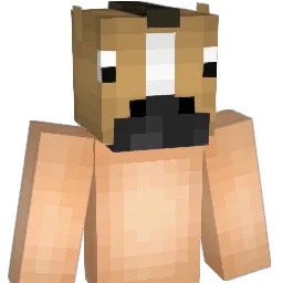 ComBoyCatBoy67 Minecraft avatar bust