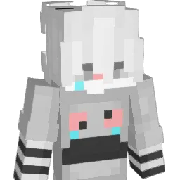 Combator's Minecraft skin