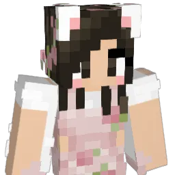 CommanderCamm's Minecraft skin