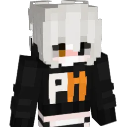 Compact_'s Minecraft skin
