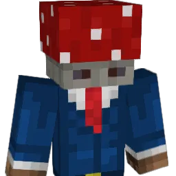 Confused_Sou1 Minecraft avatar bust