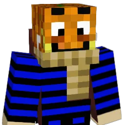 ConinYT Minecraft avatar bust