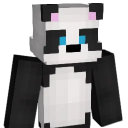Conn_dor's Minecraft skin
