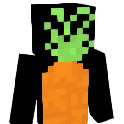 Connie_Hawkins Minecraft avatar bust
