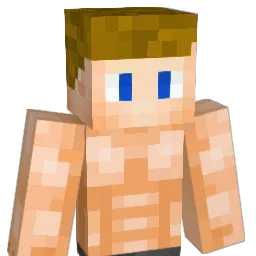 Connorthe0311 Minecraft avatar bust