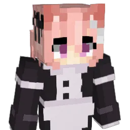 Conslic
