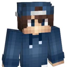 Constracted Minecraft avatar bust