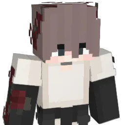 Content__ Minecraft avatar bust
