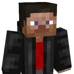 ContentsUnknown Minecraft avatar bust