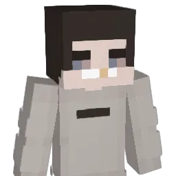 Continues Minecraft avatar bust