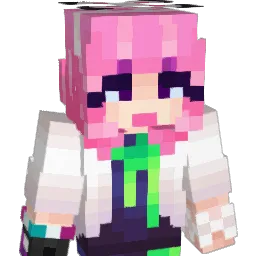 Minecraft-Avatar von Contrapo: Büste