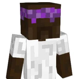Conway_Tweety Minecraft avatar bust