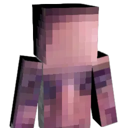 CoolBrah123 Minecraft avatar bust