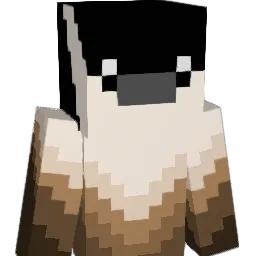CoolDoggo871 Minecraft avatar bust