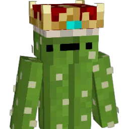 CoolKaktus