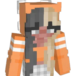 Coolcatyt Minecraft avatar bust