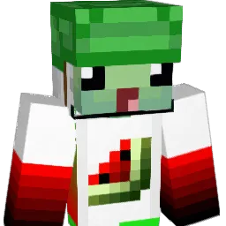 CooleRoteMelone Minecraft avatar bust