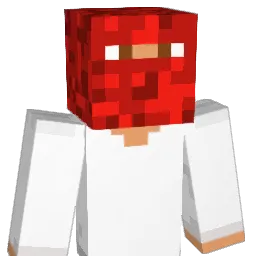 Coolguy17s's Minecraft skin