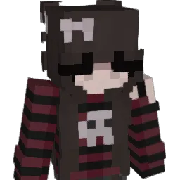 Coolidiot69 Minecraft avatar bust