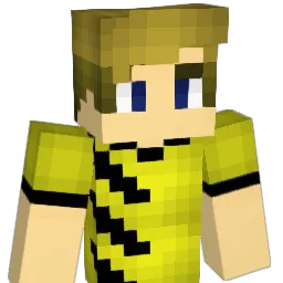 Coolsockig Minecraft avatar bust