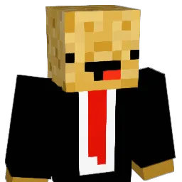 CosierHat986593 Minecraft avatar bust