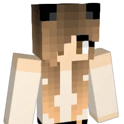 Cosmetics Minecraft avatar bust