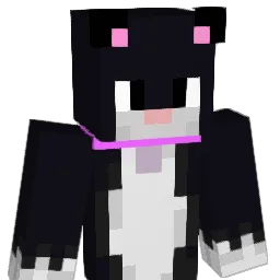 Cotita Minecraft avatar bust