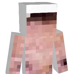 CouTom Minecraft avatar bust
