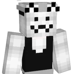 Couiercartel Minecraft avatar bust