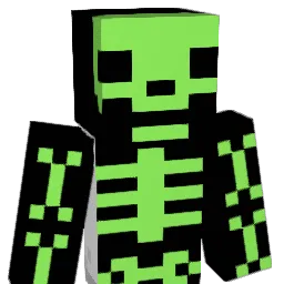 CountingBoobies Minecraft avatar bust