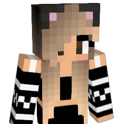 Courtney1207 Minecraft avatar bust