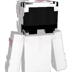 Coxyzzzz Minecraft avatar bust