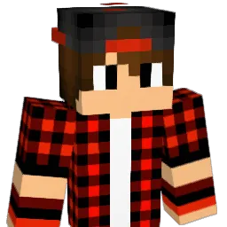 Craftman73 Minecraft avatar bust