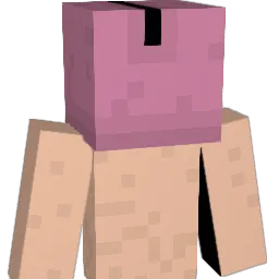 Crazzycow99 Minecraft avatar bust