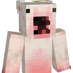 Creeper_Dudu Minecraft avatar bust