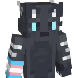 CreepersX17 Minecraft avatar bust