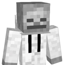 CreuseurDeTunnel Minecraft avatar bust