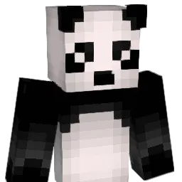 Cricket453 Minecraft avatar bust