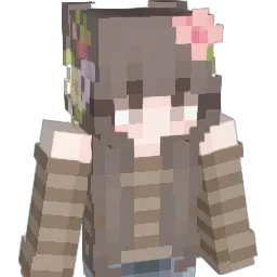 Criiis25 Minecraft avatar bust