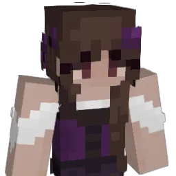 Crimson_NSE Minecraft avatar bust