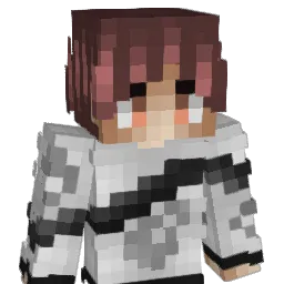 Cross_1647 Minecraft avatar bust