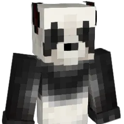 Crusher_fromhere Minecraft avatar bust