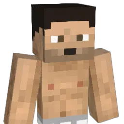 Crylorz Minecraft avatar bust