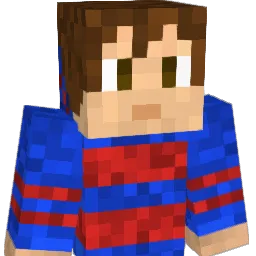 Ctbrown8 Minecraft avatar bust