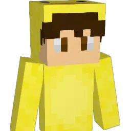 Cttpingu's Minecraft skin